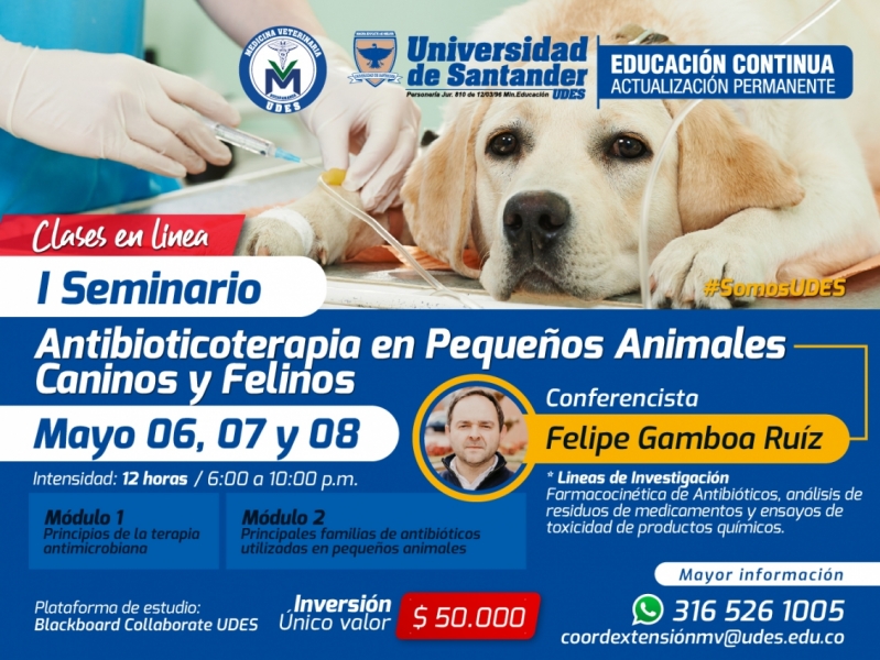 I_Seminario_en_animales_canino_y_felinos_-_UDES
