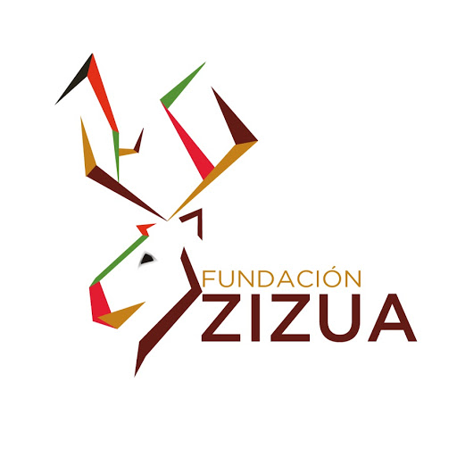 Logo fundación ZIZUA